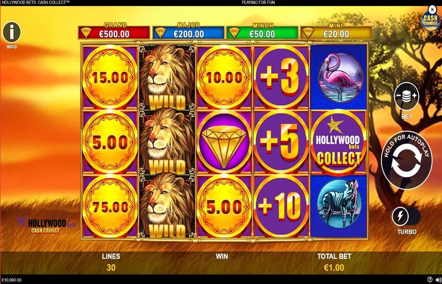 Hollywood Bets Cash Collect