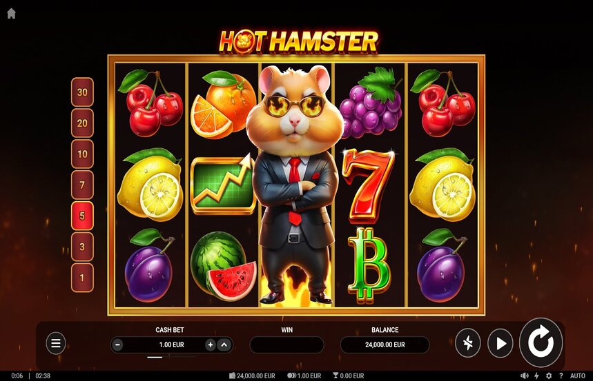 Hot Hamster