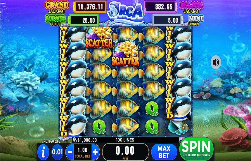 Intervision Gaming Orca