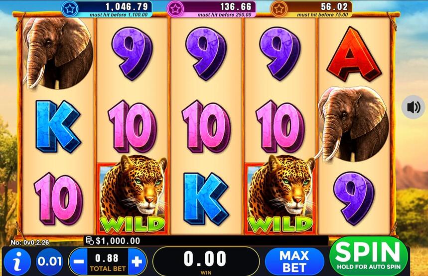 Intervision Gaming Wild Safari