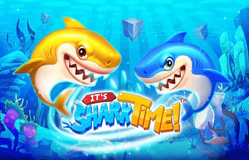 Its Shark Time