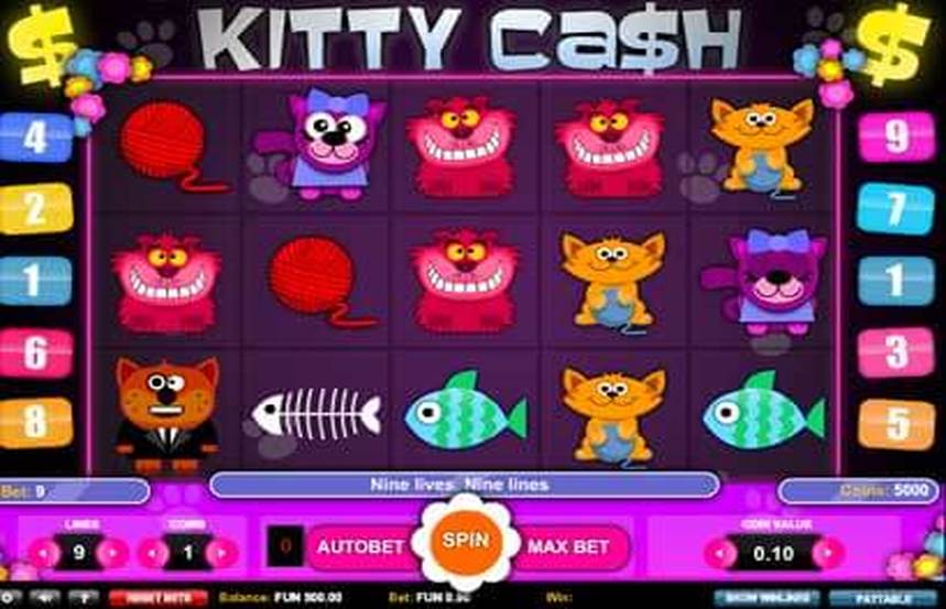 Kitty Cash