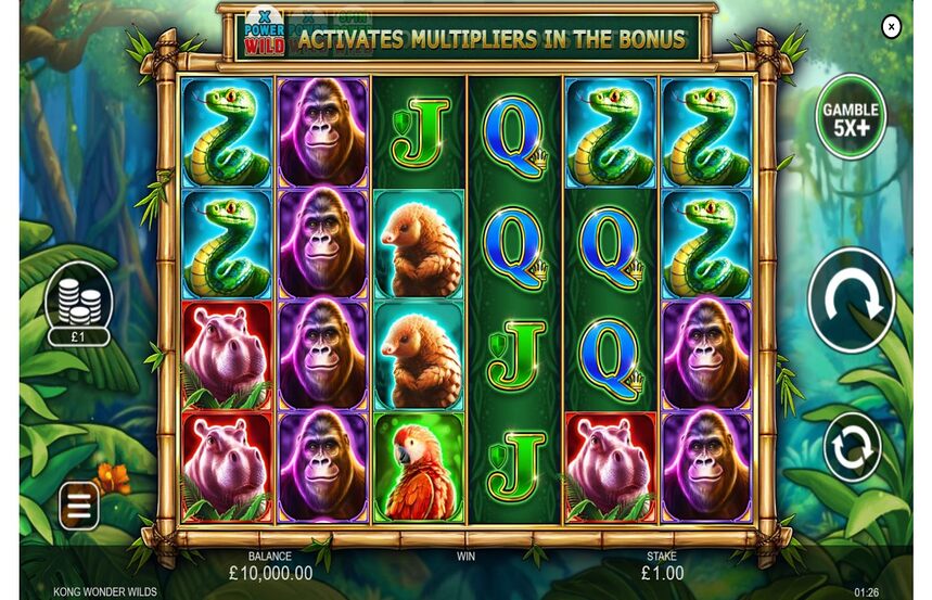 Kong Wonder Wilds