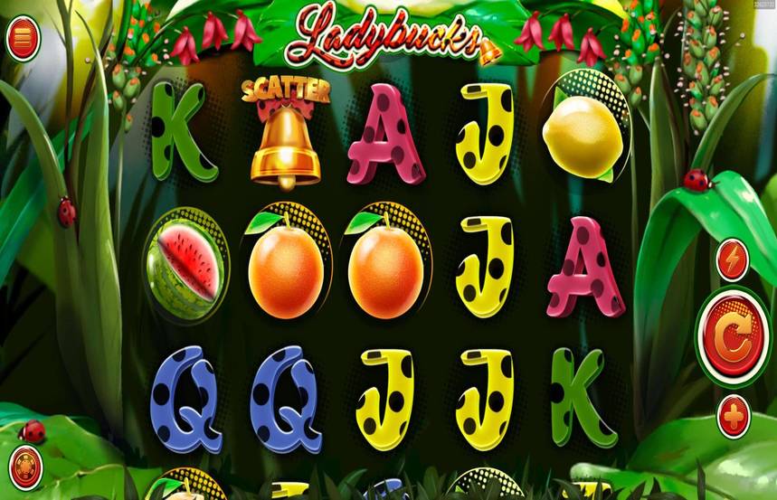 Ladybucks