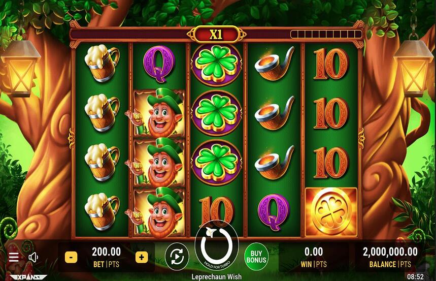 Leprechaun Wish