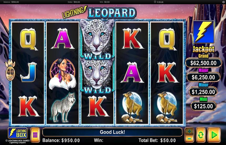Lightning Leopard