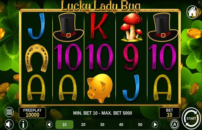 Lucky Lady Bug