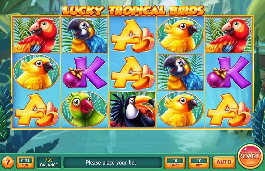 Lucky Tropical Birds