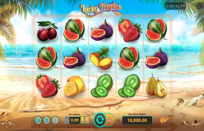 Lucky Tropics