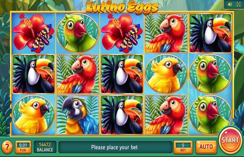Lutino Eggs