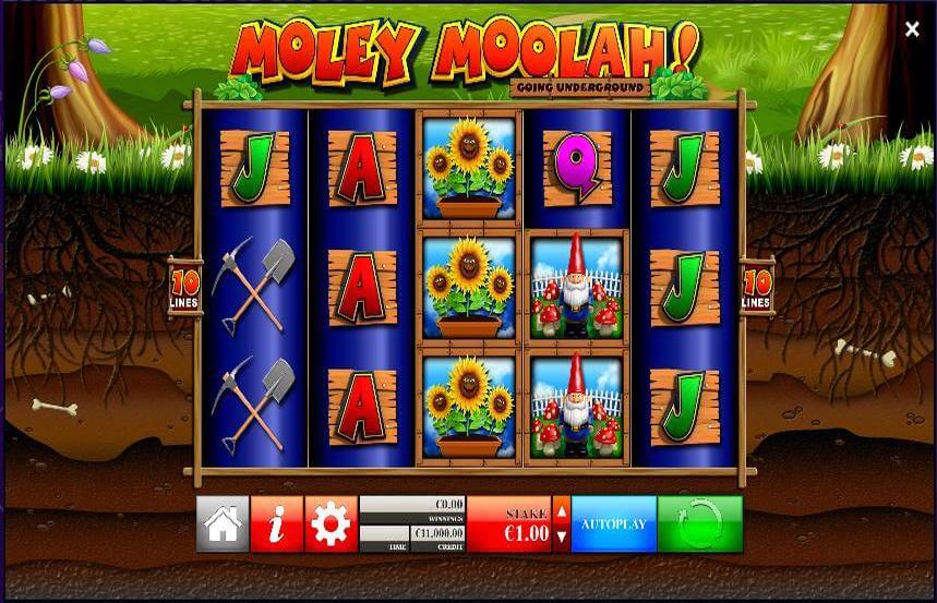 Moley Moolah