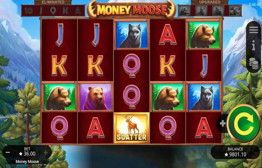 Money Moose