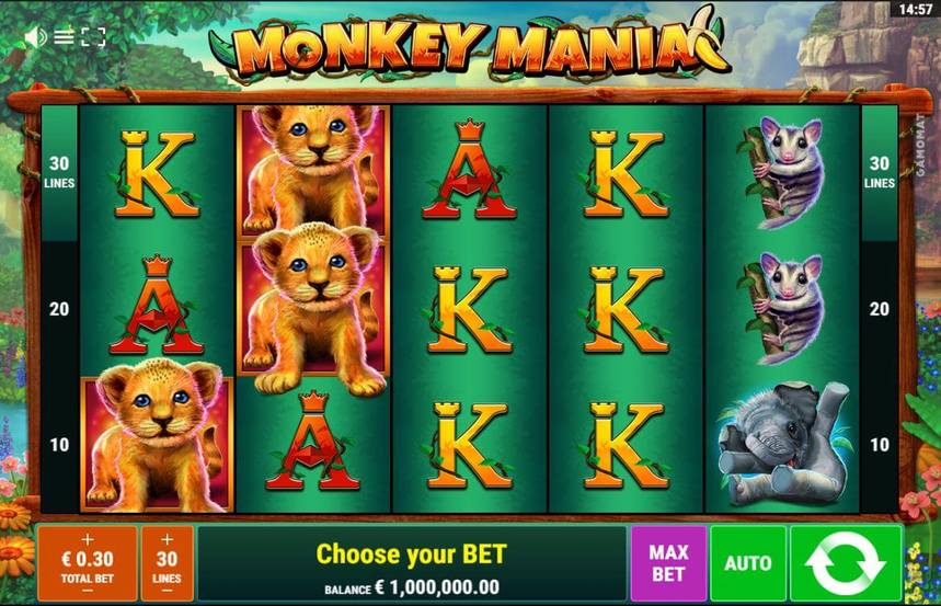 Monkey Mania
