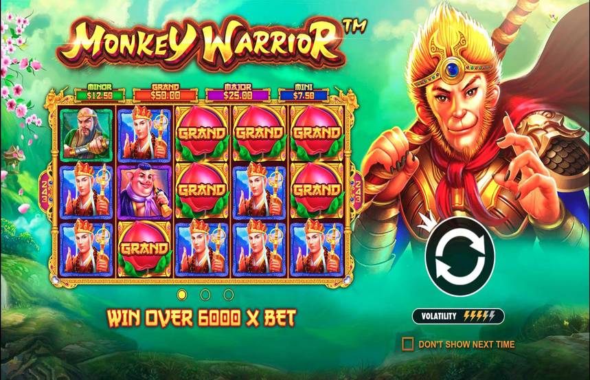 Monkey Warrior