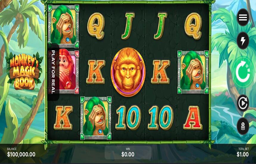 Monkeys Magic Book