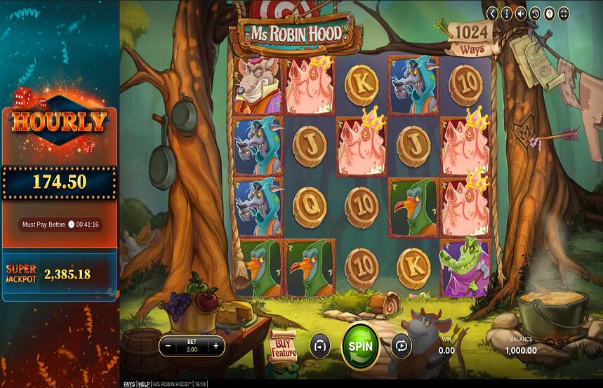 Ms Robin Hood