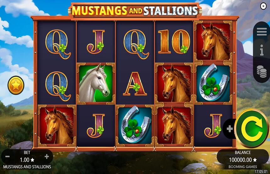 Mustangs and Stallions