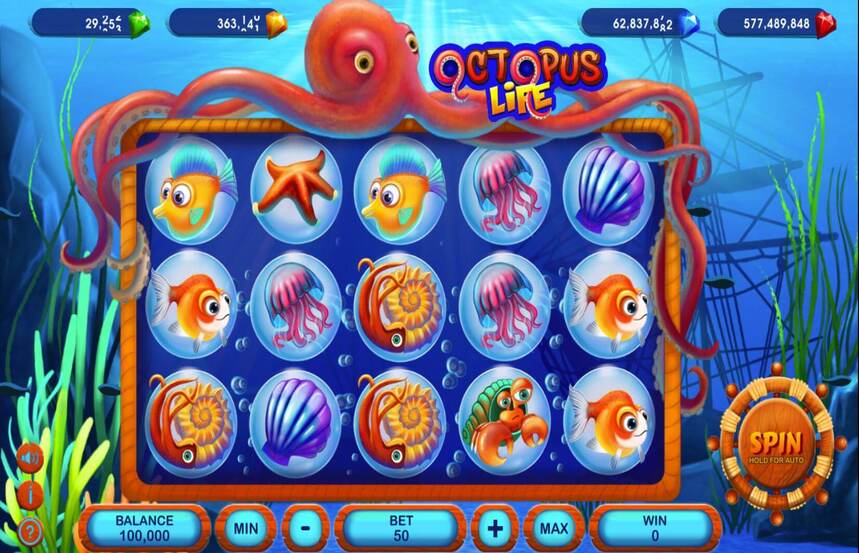 Octopus Life