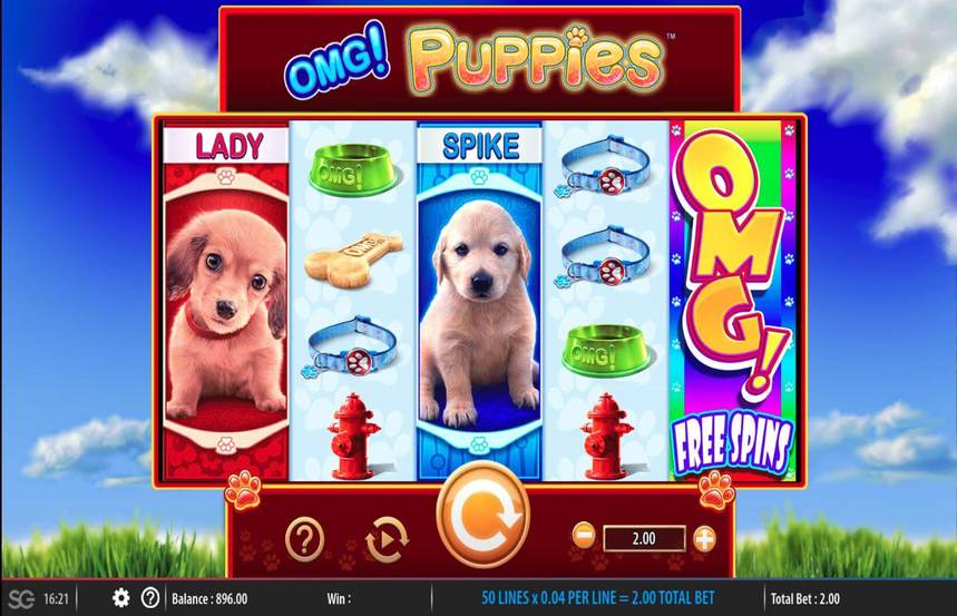 OMG Puppies