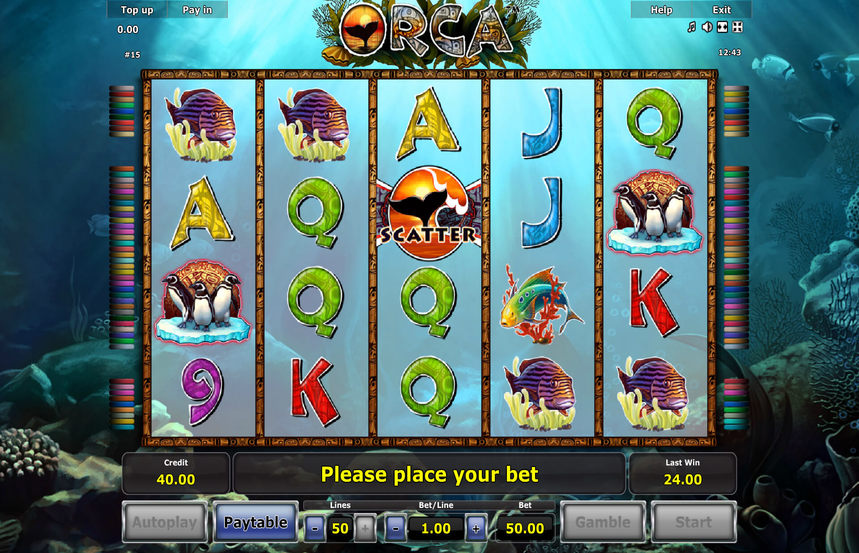 Orca