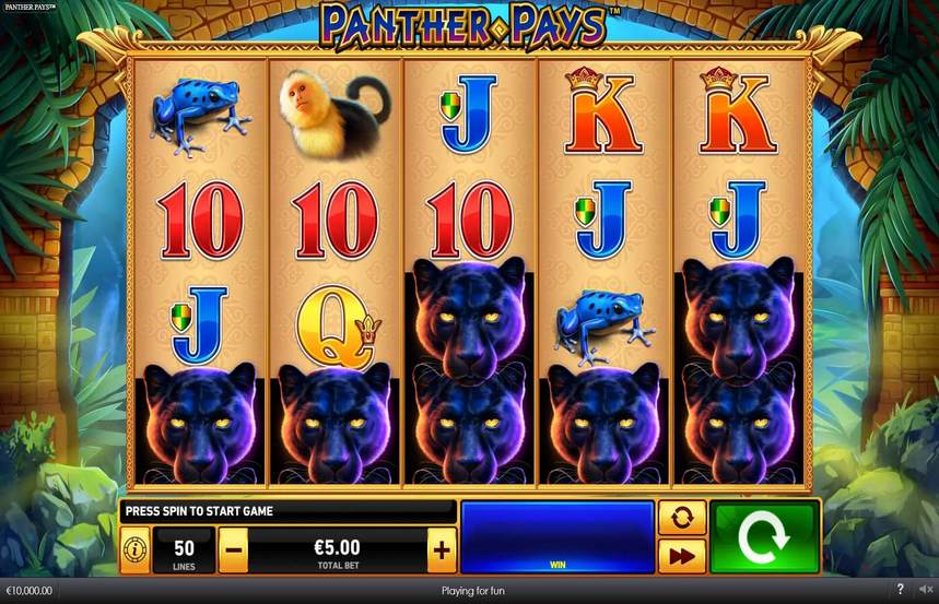 Panther Pays