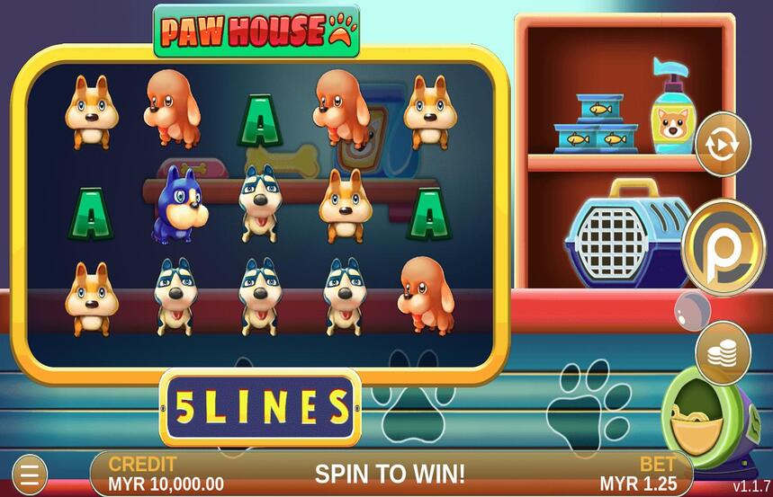 Paw House