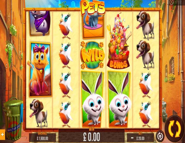Pets