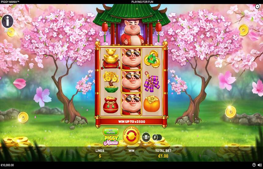 Piggy Mania