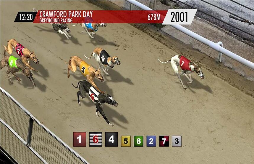 Platinum Hounds