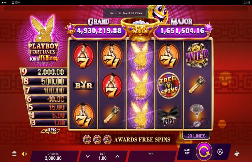 Playboy Fortunes King Millions
