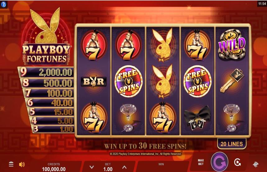 Playboy Fortunes