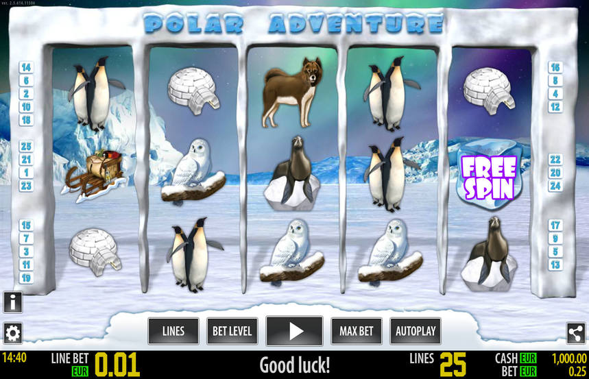 Polar Adventure