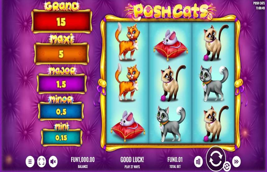 Posh Cats