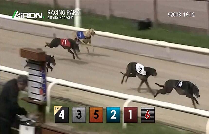 Pre Recorded Dog Racing