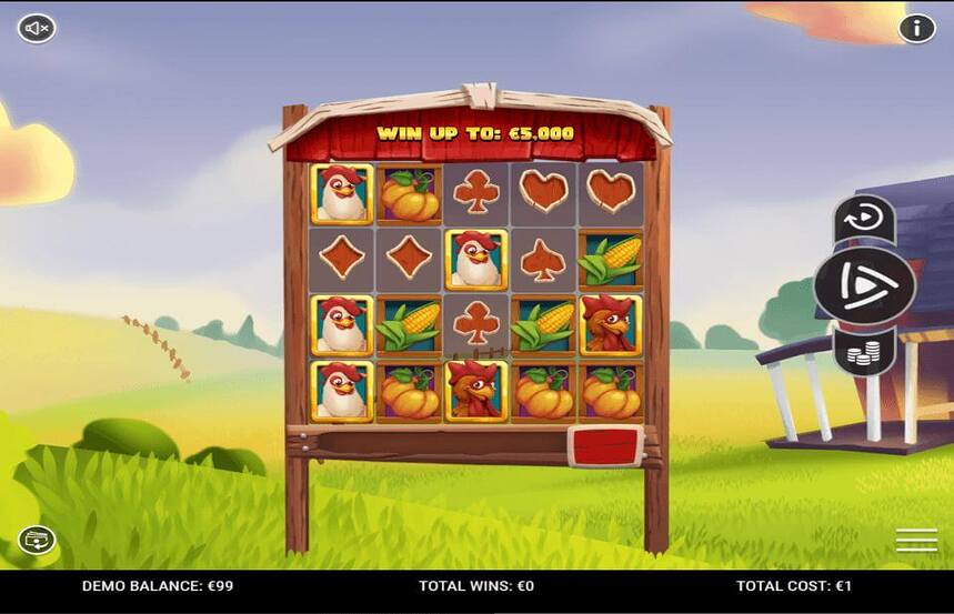 Prize Chickens