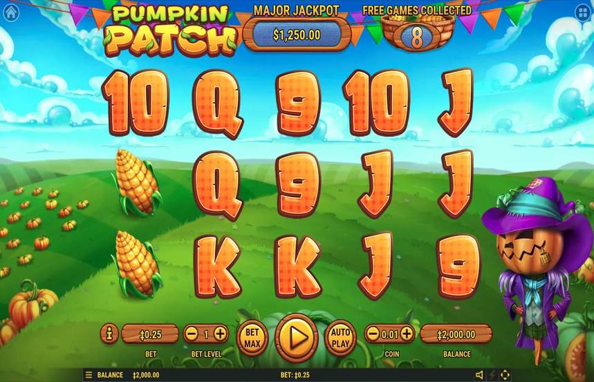 Pumpkin Patch