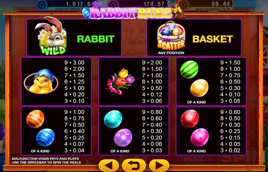 Rabbit Runs