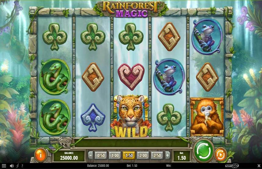 Rainforest Magic