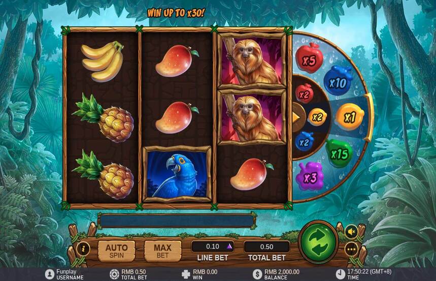 Rainforest Riches
