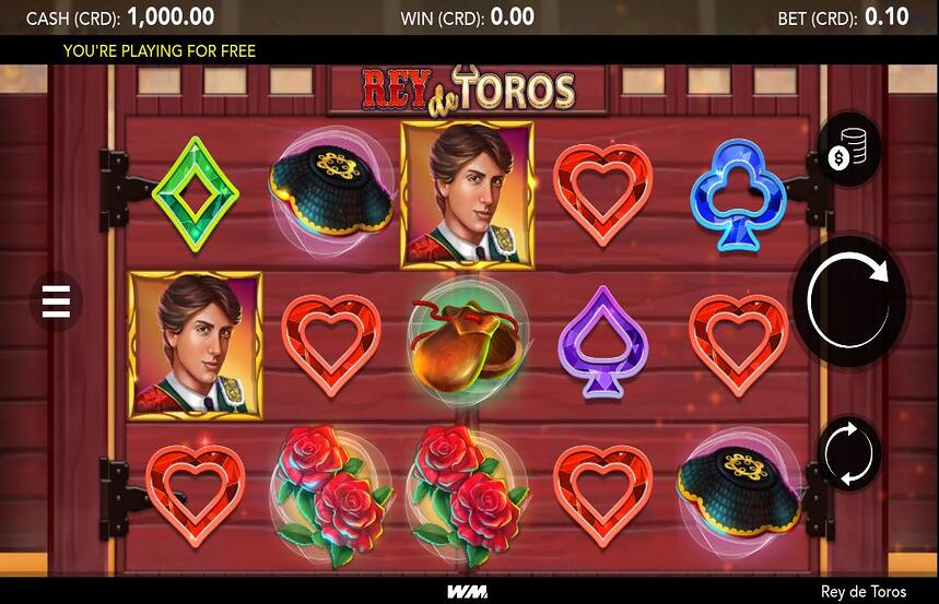 Rey de Toros