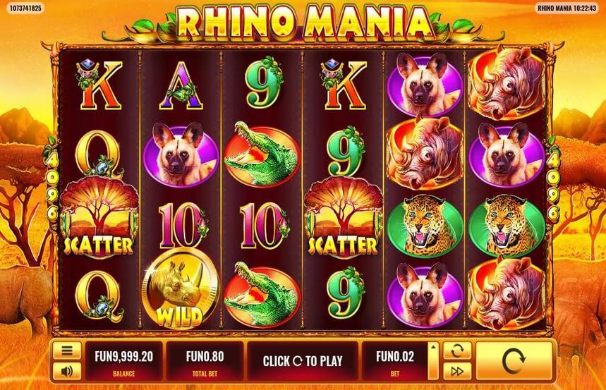 Rhino Mania