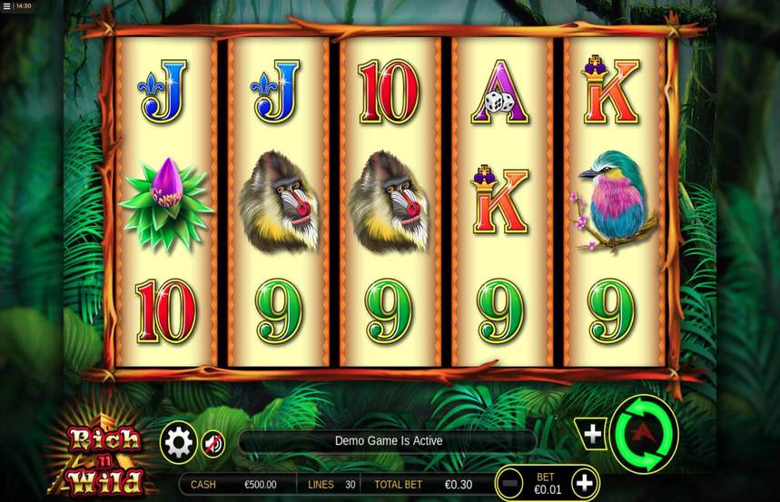 Rich n WIld