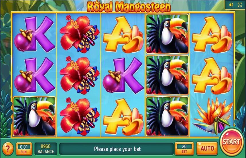 Royal Mangosteen