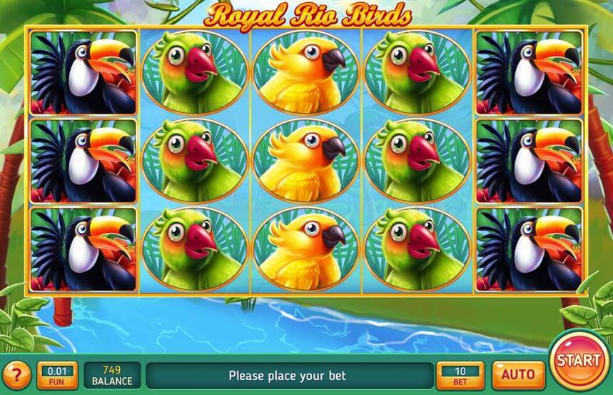 Royal Rio Birds