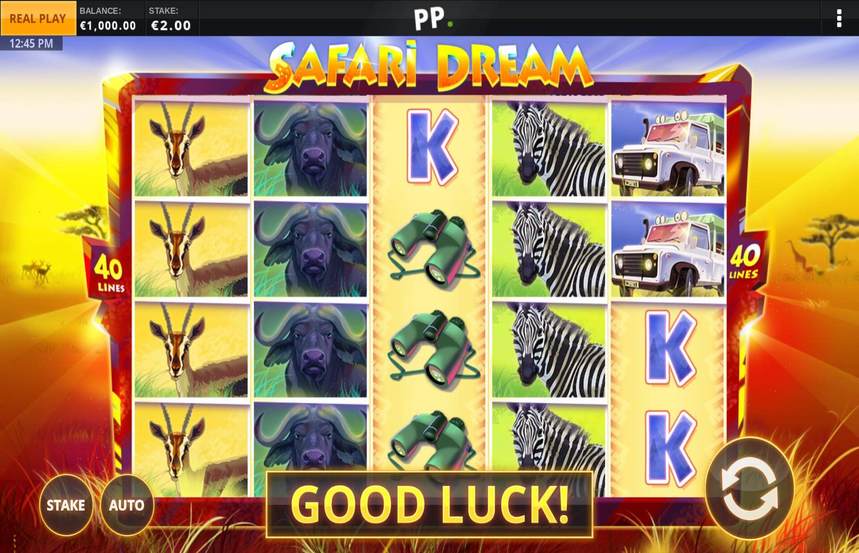 Safari Dream
