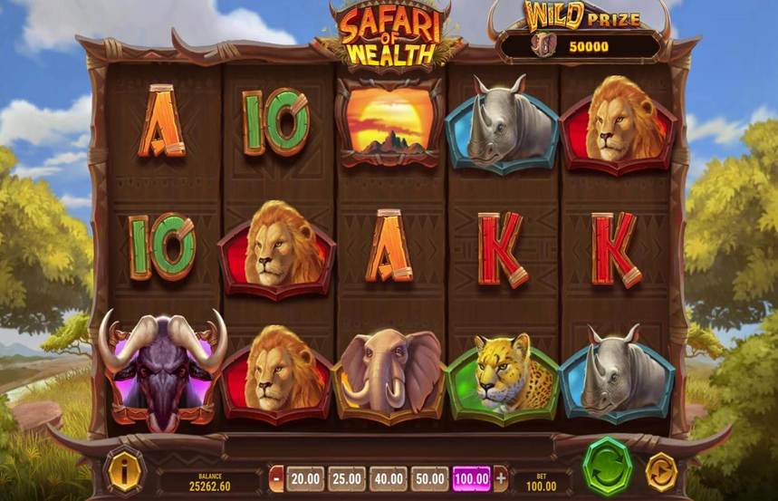 Safari of Wealth