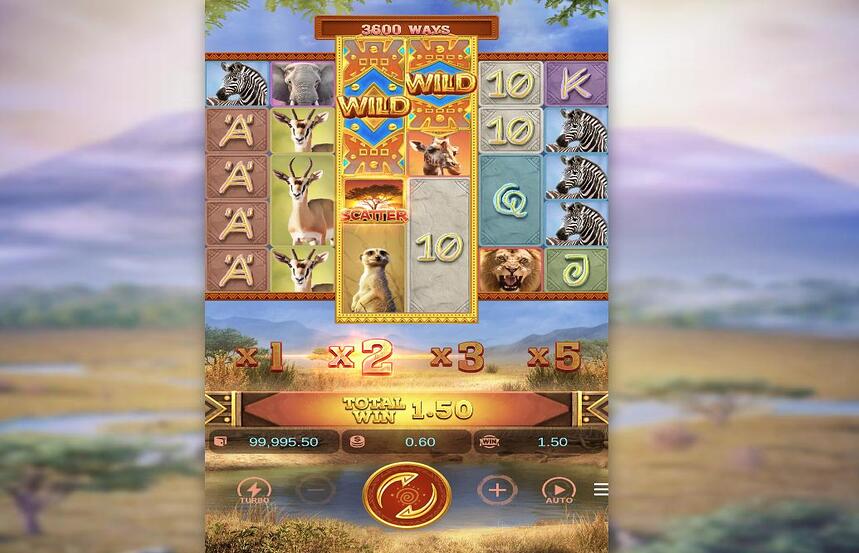 Safari Wilds