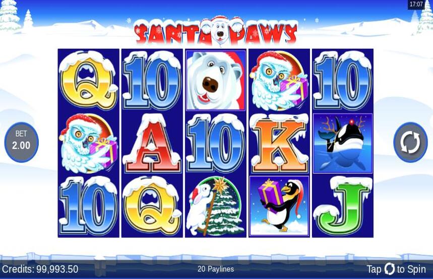 Santa Paws