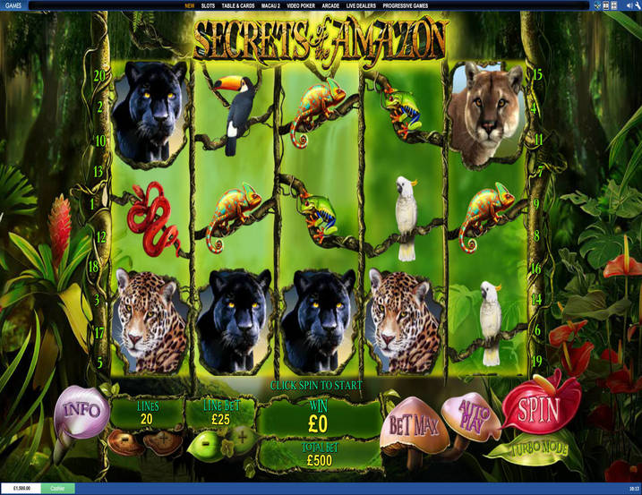 Secrets of the Amazon