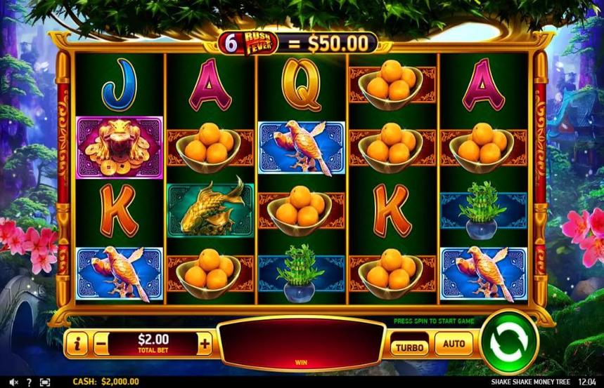 Shake Shake Money Tree
